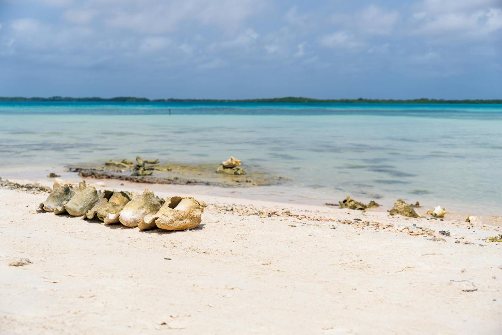 Cannabis in Anguilla: Laws & Tourist Guide