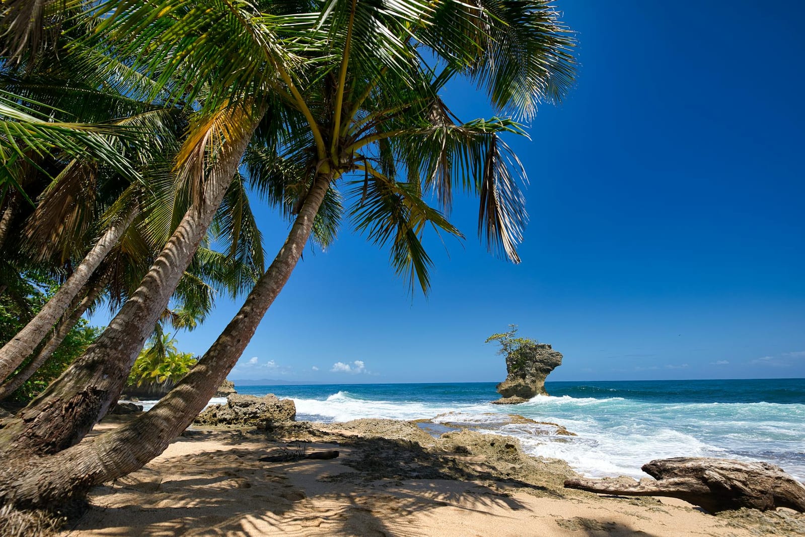 Cannabis in Barbados: Laws, Medical Program & Tourist Guide
