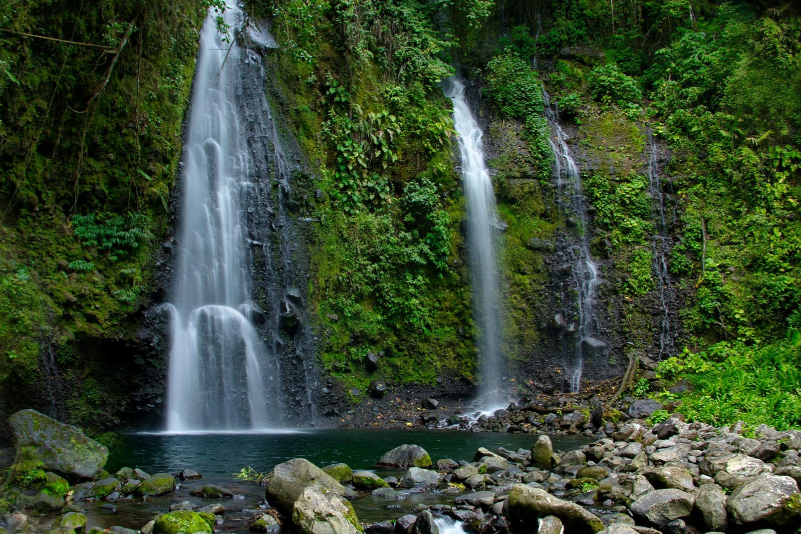 Cannabis in Dominica: Laws & Tourist Guide