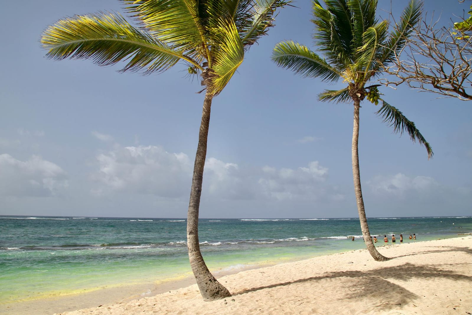 Cannabis in the Dominican Republic