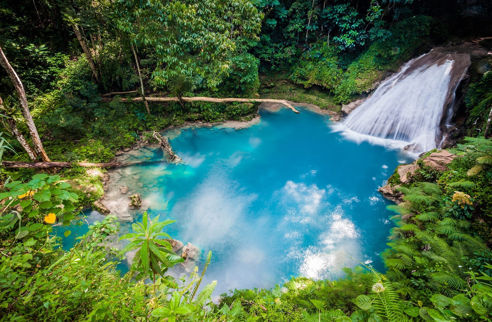 Blue Hole waterfall near Ocho Rios, Jamaica