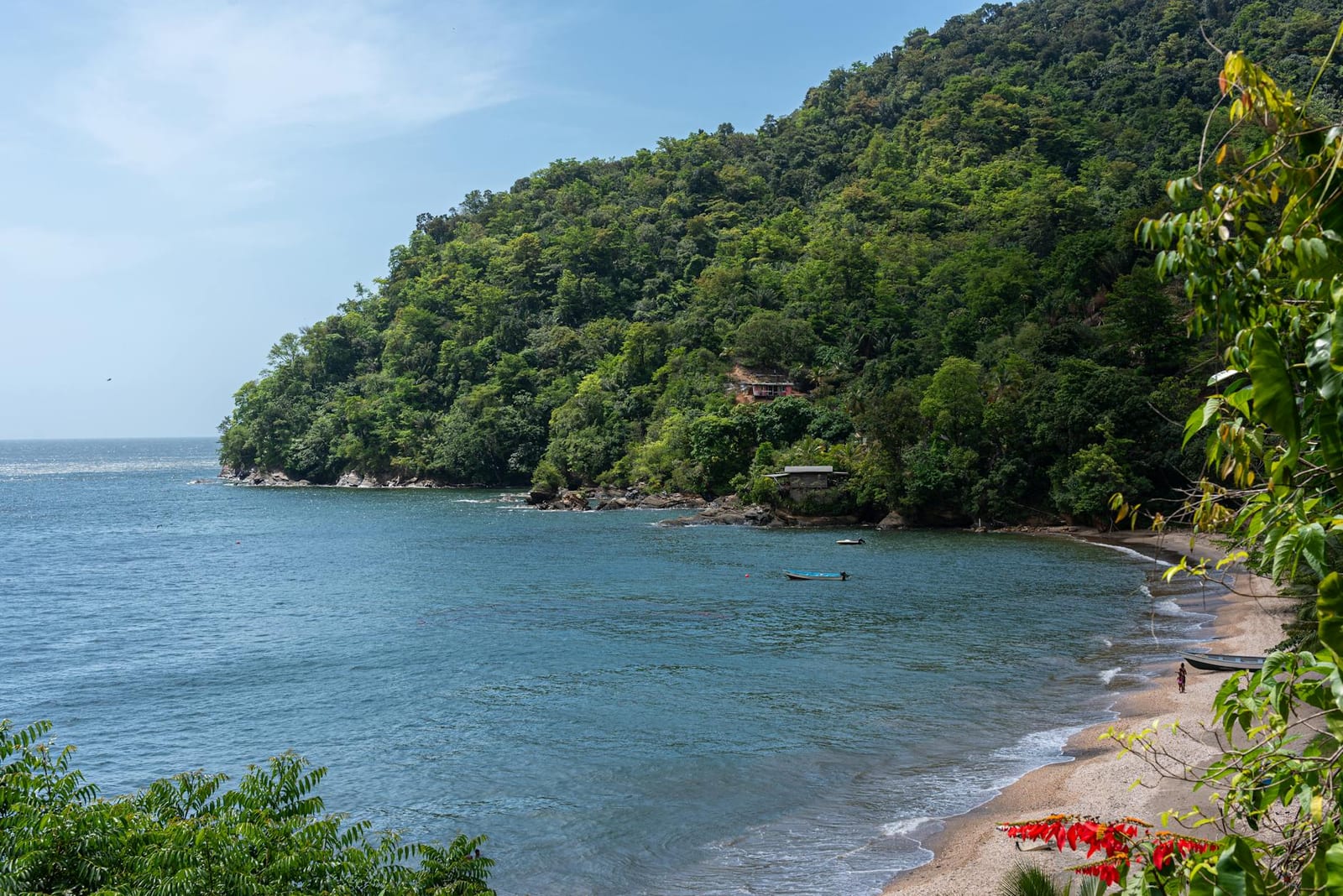 Cannabis in Martinique: Laws & Tourist Guide