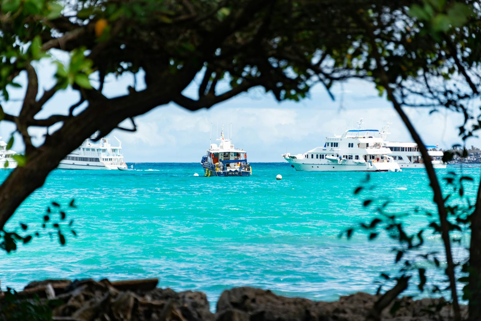 Cannabis in Turks & Caicos: Laws & Tourist Guide