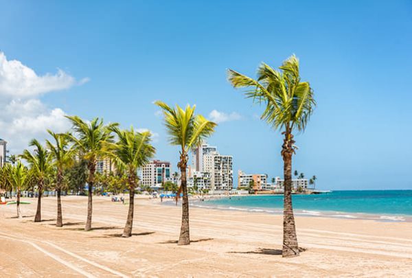 Palm Trees and Beach from Condado Puerto Rico